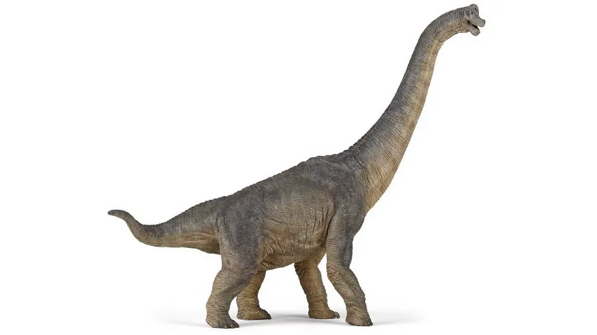 Papo - Brachosaurus 55030