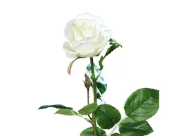 Rose 66cm