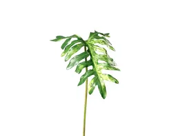 Philodendron Blatt 57cm