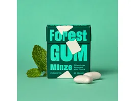Forest Gum Kaugummi Minze