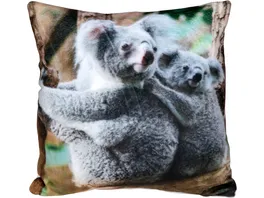 Stuco Dekokissen Fotodruck 25x25 Koala