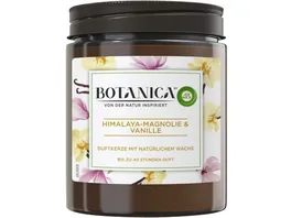 Air Wick Botanica Duftkerze Himalaya Magnolie Vanille