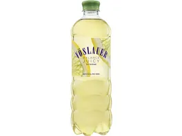 VOeSLAUER Mineralwasser Balance Juicy Zitrone