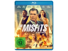 The Misfits Die Meisterdiebe
