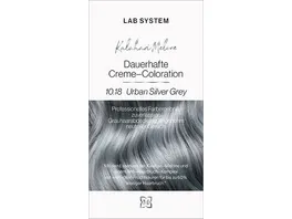 LAB System Coloration Silver Grey 10 18