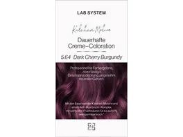 LAB System Coloration Dark Cherry Red 5 64