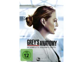 Grey s Anatomy Staffel 17 5 DVDs