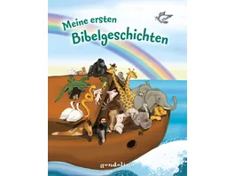 Meine ersten Bibelgeschichten Kinderbibel zum alten Testament fuer Kinder ab 4 Jahren