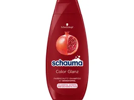 Schauma seiden kamm shampoo - Die hochwertigsten Schauma seiden kamm shampoo im Vergleich