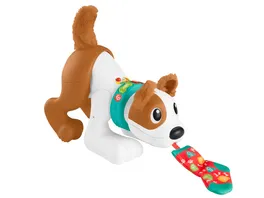 Fisher Price Bello Spielzeughund Krabbelspielzeug Babyspielzeug 6 M