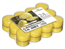 VILLA VERDE Citronella Duftteelichte 24er Pack