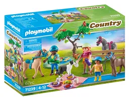 PLAYMOBIL 71239 Country Picknickausflug mit Pferden