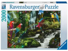 Ravensburger Puzzle Bunte Papageien im Dschungel 2000 Teile