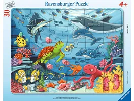 Ravensburger Puzzle Unten im Meer 30 48 Teile Rahmenpuzzle fuer Kinder ab 4 Jahren