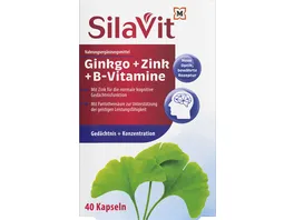 SilaVit Kapseln Ginkgo Zink B Vitamine Gedaechtnis Konzentration