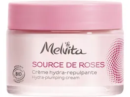 Melvita Creme Gesicht Source de Roses