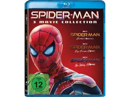 Spider Man Homecoming Far From Home No Way Home HOME BUNDLE 3 BRs