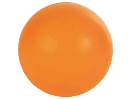 Trixie Naturgummi Ball 8 cm Hundespielzeug