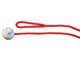 Trixie Naturgummi Ball am Seil 5 cm 1 00 m Hunde Spielzeug