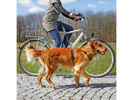 Trixie Fahrrad und Joggingleine schwarz 1 00 2 00 m 25 mm Hundezubehoer