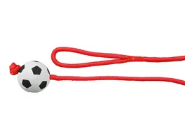 Trixie Moosgummi Fussball am Seil 6 cm 1 00 m Hunde Spielzeug