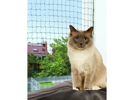 Trixie Katzenzubehoer Cat Schutznetz drahtverstaerkt olivgruen 2 1 5m