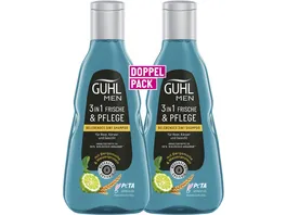 GUHL MEN 3 in 1 Frische Pflege belebendes 3 in 1 Shampoo