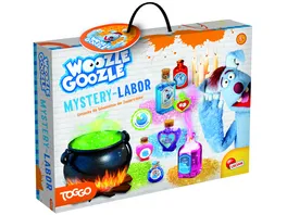 WOOZLE GOOZLE MYSTERY LAB