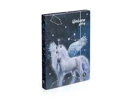 oxybag Heftbox A4 Pegasus
