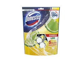 Domestos Power 5 WC Stein Limette