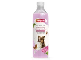 beaphar Hunde Entfilzungs Shampoo