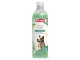 Beaphar Hunde Shampoo Fell Glanz