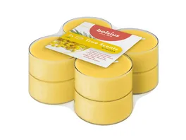 bolsius Maxi Lichte transparent 8 Stunden Pack True Scents Mimose 8er Pack