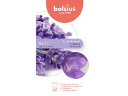bolsius Wax Melts True Scents 6er Pack Lavendel