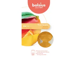 bolsius Wax Melts True Scents 6er Pack Mango