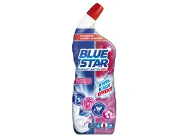 Blue Star Kraft Aktiv WC Gel Bluetenfrische