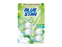 Blue Star Pro Nature WC Reiniger Minze Eukalyptus