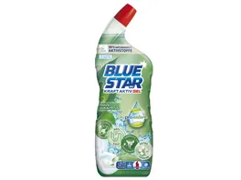 Blue Star Kraft Aktiv WC Reiniger Gel Pro Nature
