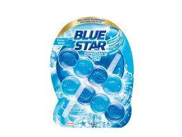 Blue Star WC Steine Brilliant Gel All In 1 Polarmeer