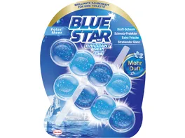 Blue Star WC Steine Brilliant Gel All In 1 Polarmeer