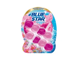 Blue Star WC Steine Brilliant Gel All In 1 Fruehlingsfrische