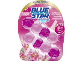 Blue Star WC Steine Brilliant Gel All In 1 Fruehlingsfrische