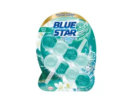 Blue Star WC Steine Brilliant Gel All In 1 Bergsee