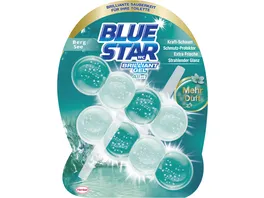 Blue Star WC Steine Brilliant Gel All In 1 Bergsee