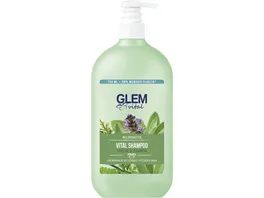 Schwarzkopf Glem vital Shampoo Wildkraeuter