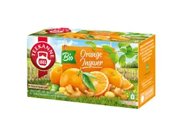 TEEKANNE Bio Fruechtegarten Orange Ingwer