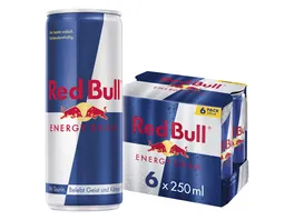 Red Bull Energiegetraenk 6er Pack