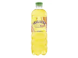 VOeSLAUER Mineralwasser Balance Juicy Plus Sonnenfruechte