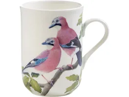 MAXWELL WILLIAMS BIRDS OF THE WORLD Becher Eichelhaeher in Geschenkbox