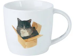 MAXWELL WILLIAMS FELINE FRIENDS Becher Cat In A Box in Geschenkbox